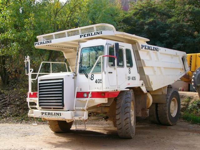 autocarri e dumper perlini Post-21-1096055585_thumb