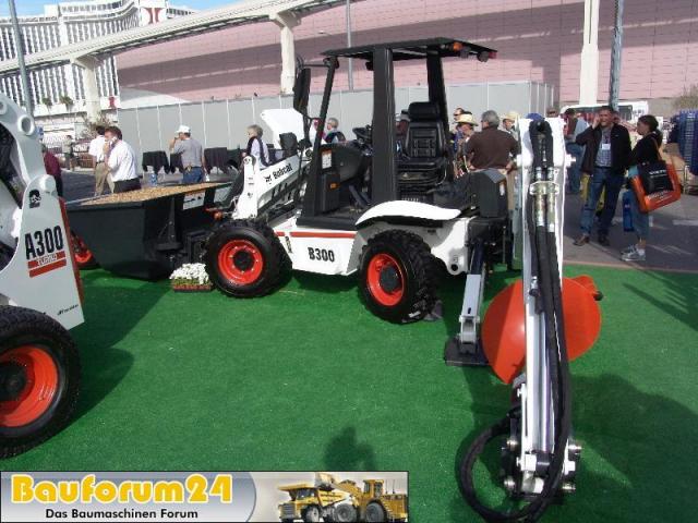 Bobcat002.JPG