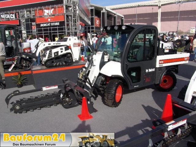 Bobcat006.JPG