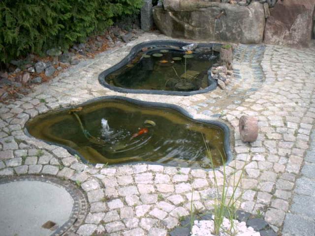 2005/05/post-169-1116438630_thumb.jpg