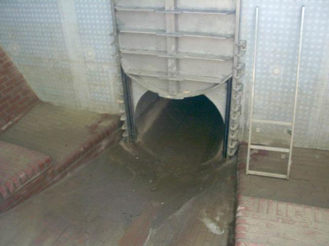 010.JPG