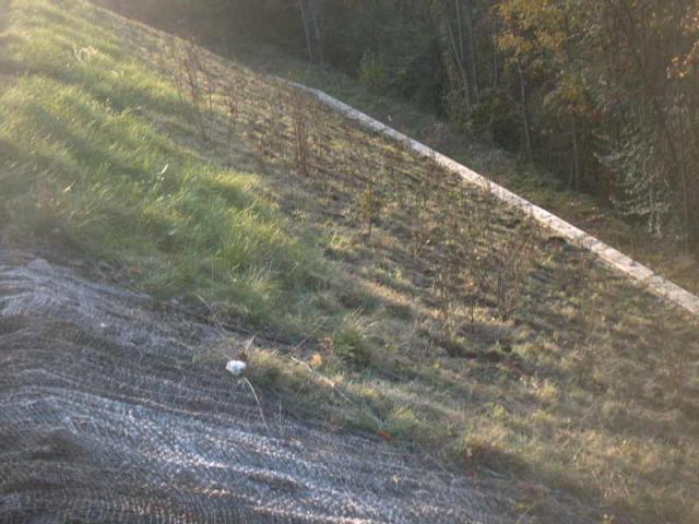 2005/09/post-169-1127060260_thumb.jpg