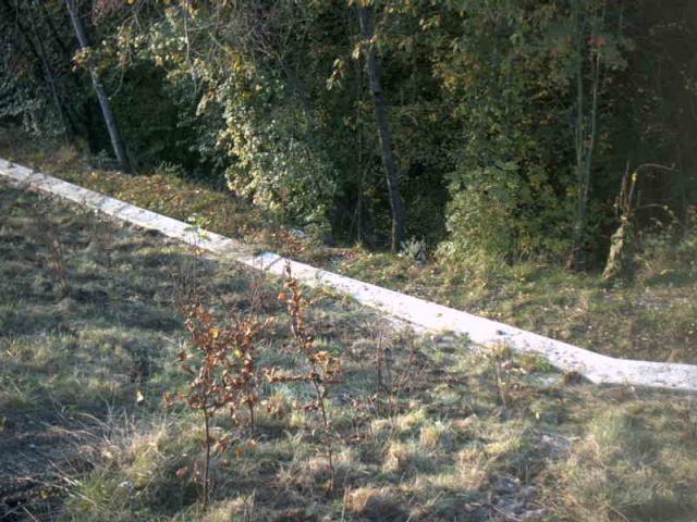 2005/09/post-169-1127060262_thumb.jpg