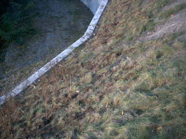 2005/09/post-169-1127060405_thumb.jpg