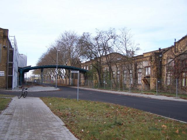 100_3221_Gr__enver_nderung.jpg