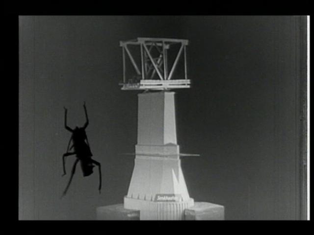 bilfinger_film_bug.jpg