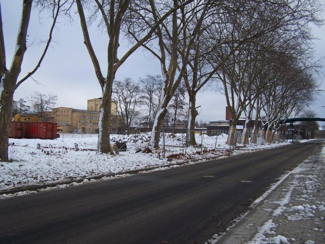 100_3498_Gr__enver_nderung.jpg