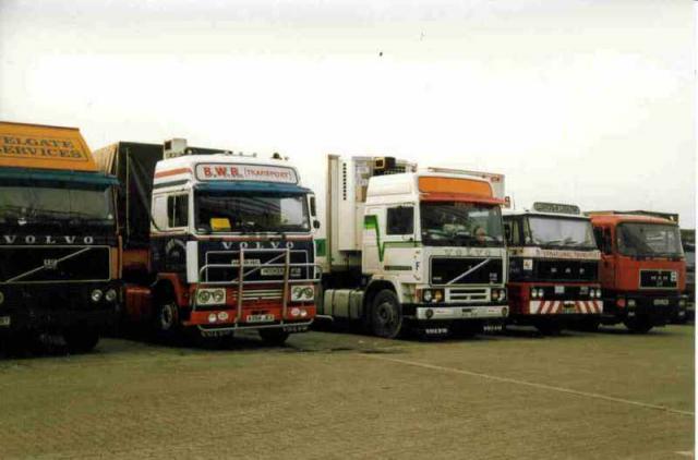 Dover__11_.jpg