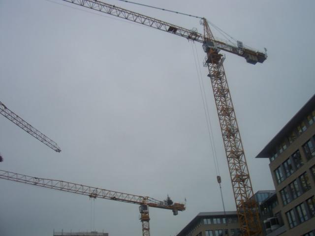 2005/12/post-899-1135548221_thumb.jpg