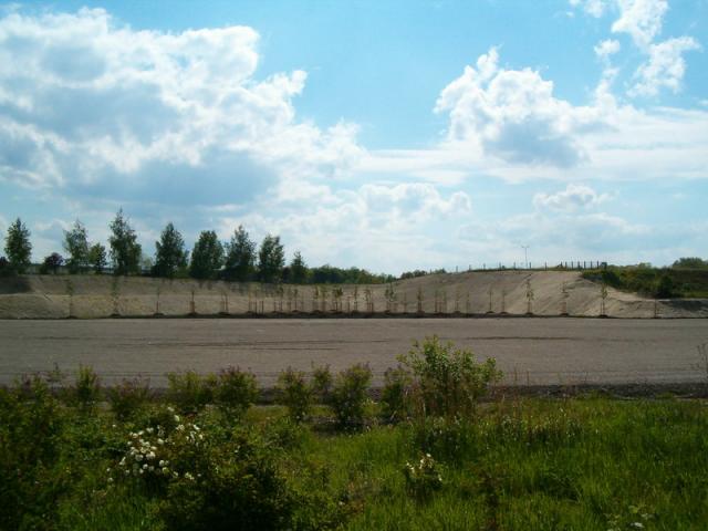 HPIM2985_Gr__enver_nderung.JPG
