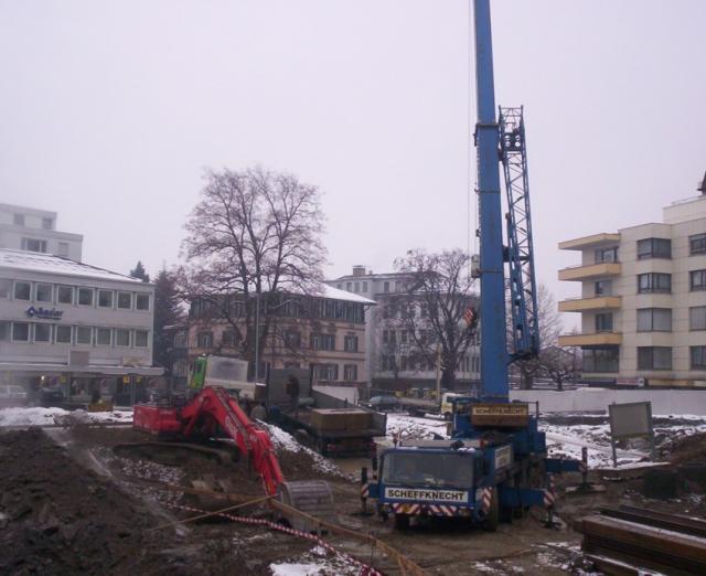 Scheffknecht_blue_crane.jpg