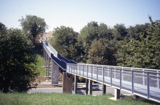 SteMa0003.jpg