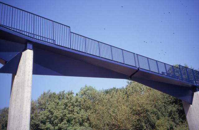 SteMa0005.jpg