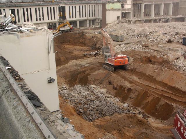 463.jpg