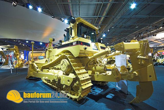 cat_001.jpg