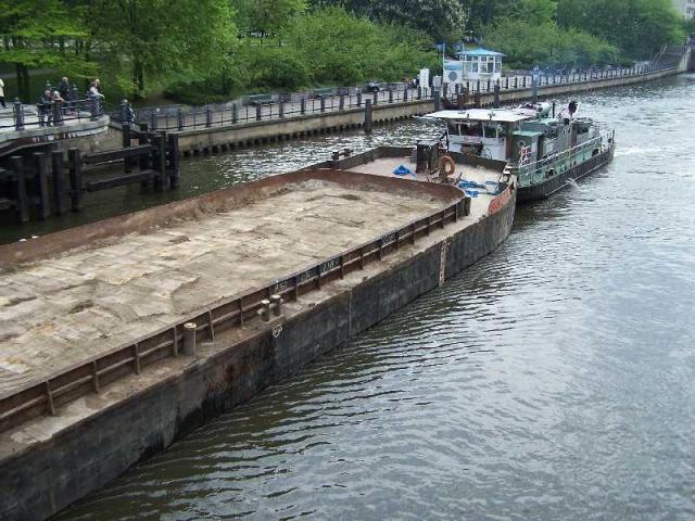 100_0803.JPG