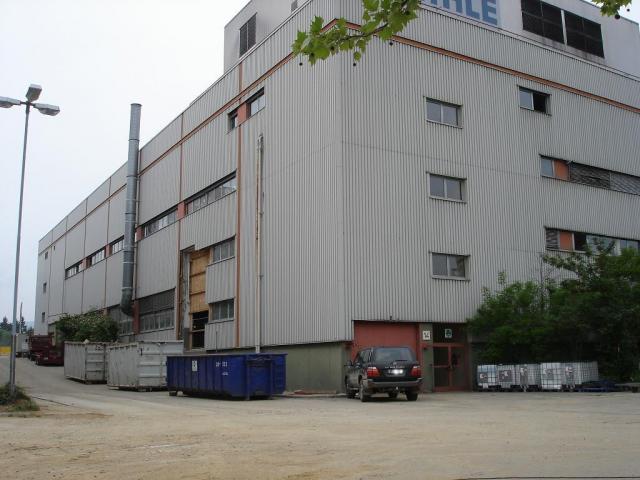DSC01919.JPG