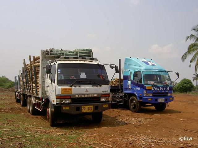 Thail_ndische_Holztransporter__1_.jpg