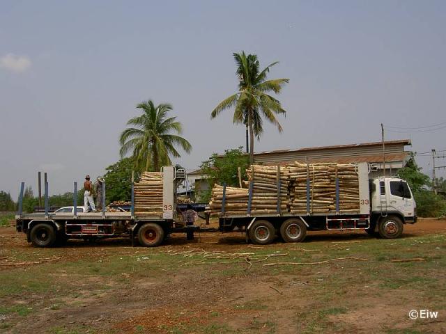 Thail_ndische_Holztransporter__4_.jpg