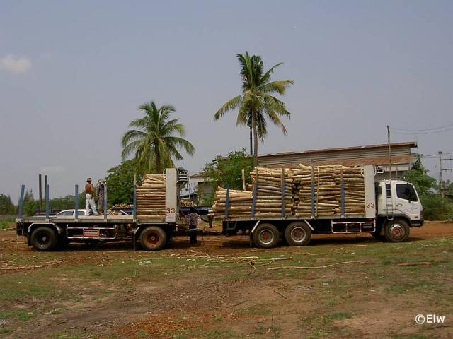 Thail_ndische_Holztransporter__4_.jpg