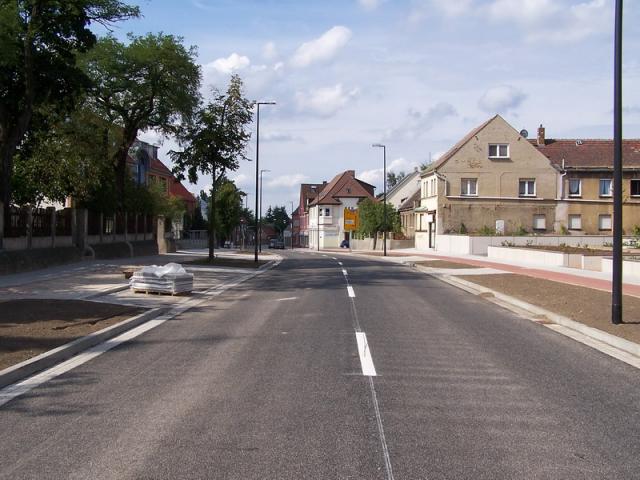 100_8091_Bildgr__e__ndern.jpg