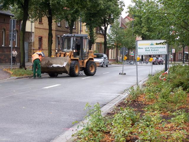 100_8158_Bildgr__e__ndern.jpg