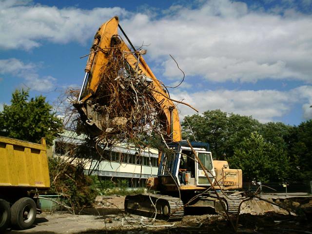 NEUE_HEIDE_K_LN_9.JPG