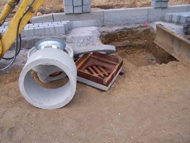 100_0522_Bildgr__e__ndern.jpg