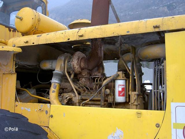 CAT_980B__5_.jpg