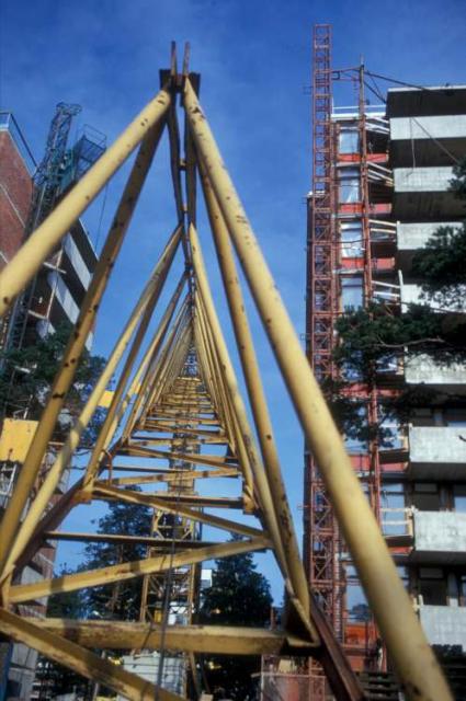 Crane_Weitz_1289_Olari.jpg