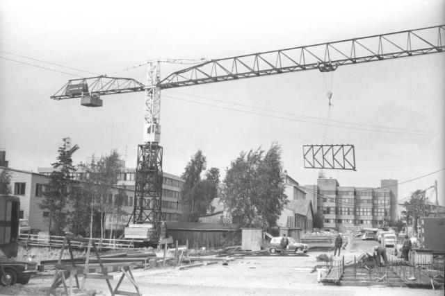 Crane_Weitz_pystytys.jpg