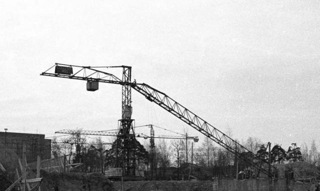 Crane_Weitz_pystytys2.jpg