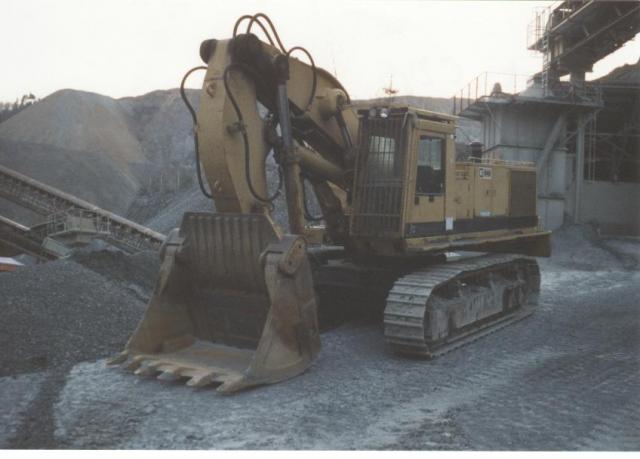 Cat_245.jpg