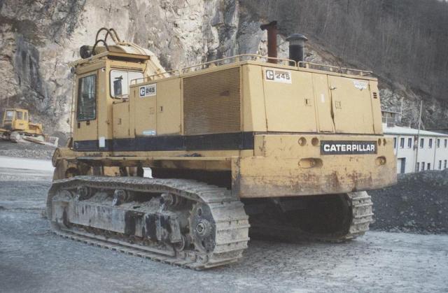 Cat_245.1.jpg