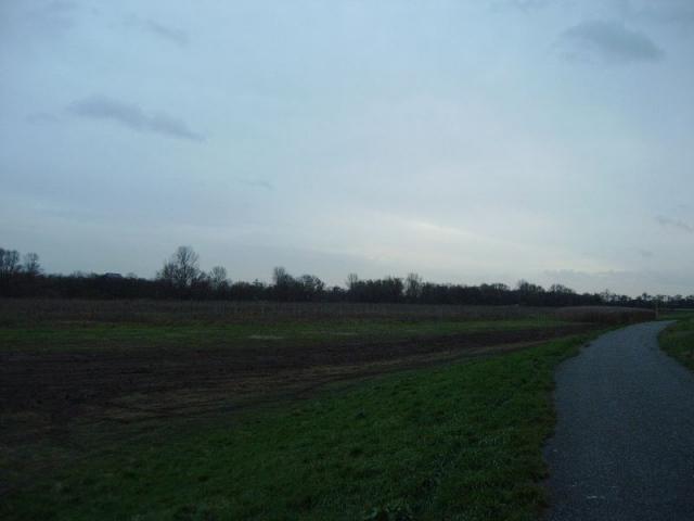IMAG0003.JPG