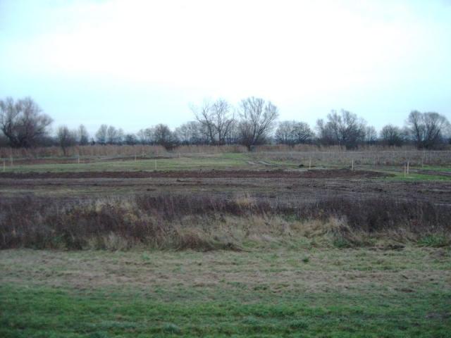IMAG0004.JPG