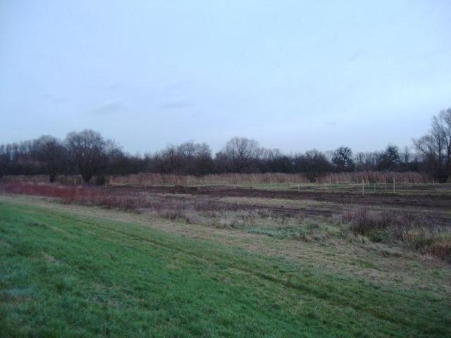 IMAG0005.JPG