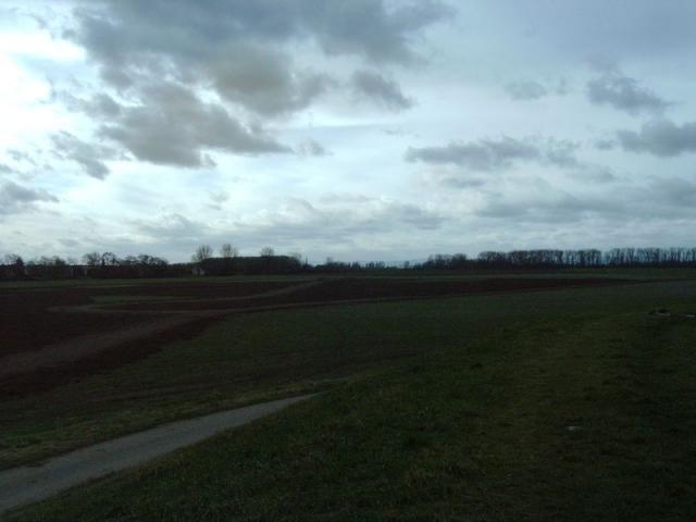 IMAG0043.JPG