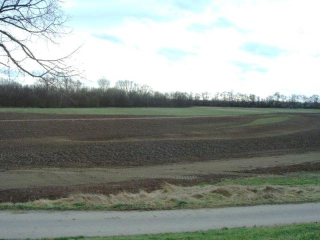 IMAG0044.JPG