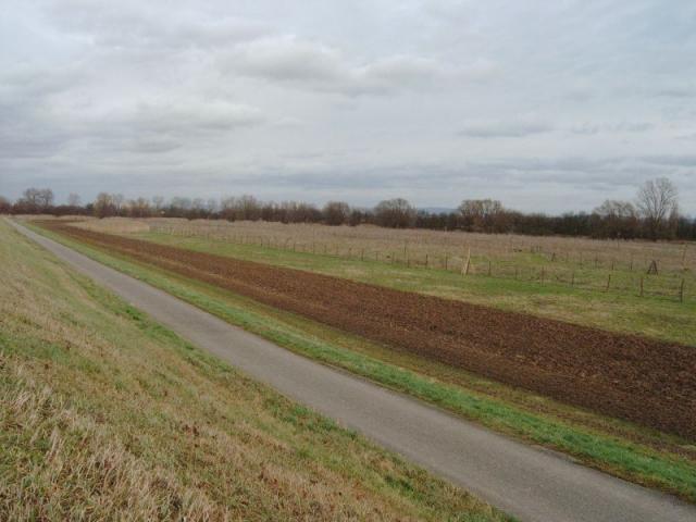 IMAG0045.JPG