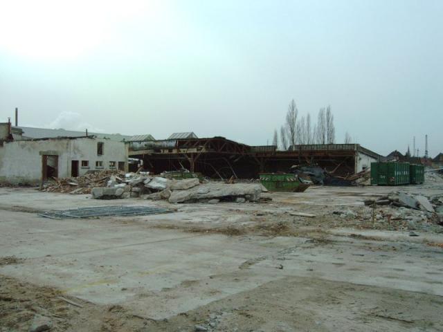 IMAG0009.JPG