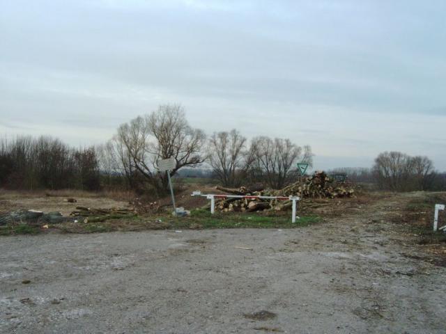 IMAG0008.JPG