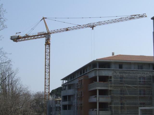 DSCF7701.JPG