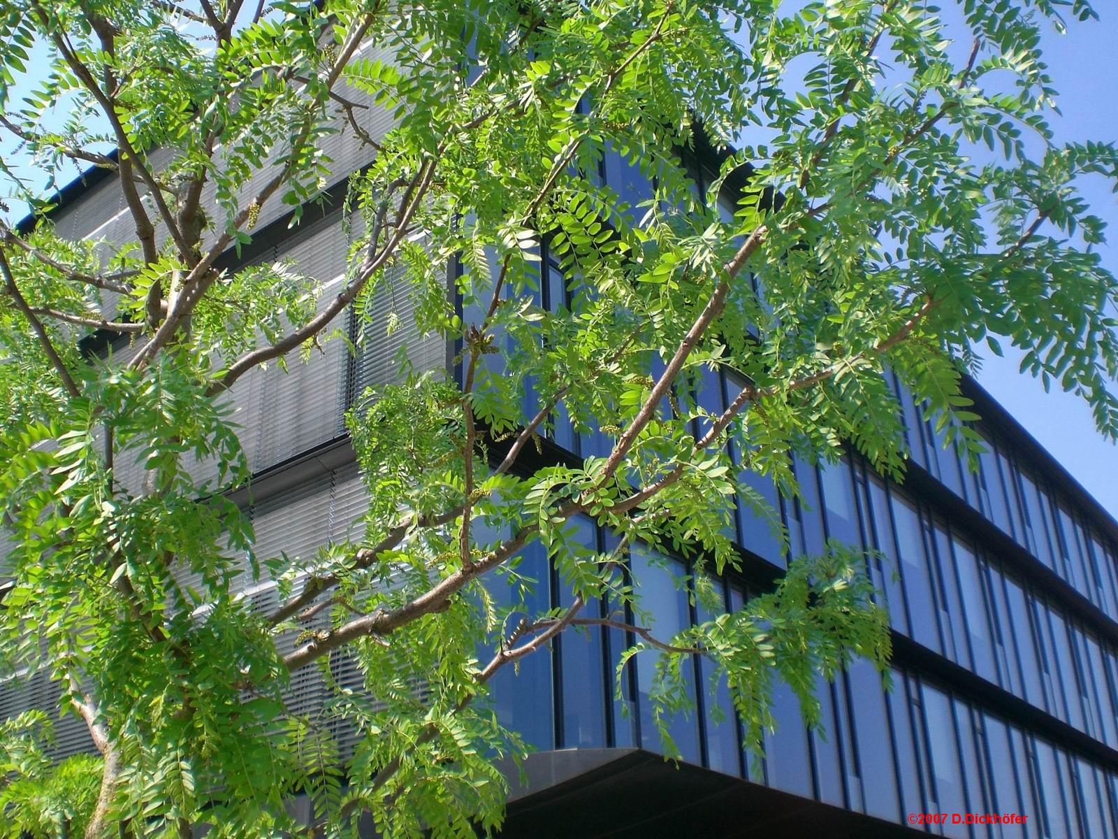 Eyecatcher Santander Bank Monchengladbach Seite 7 Hoch Tiefbau Baumaschinen Bau Forum Bauforum24