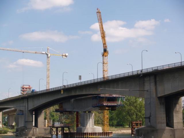 P4201279.JPG