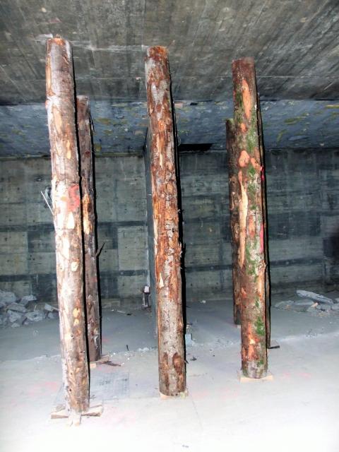 DSCF2540.JPG