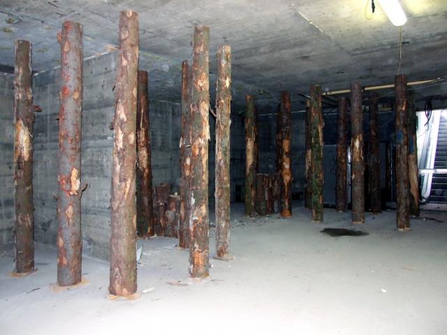 DSCF2541.JPG