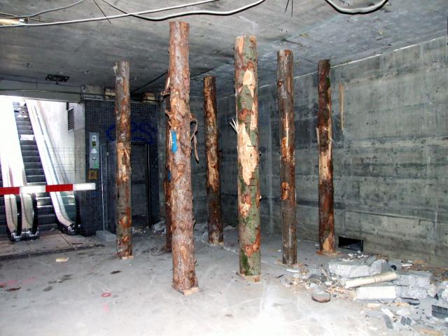DSCF2543.JPG