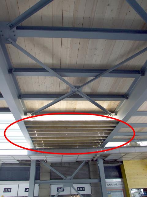 DSCF2613.JPG