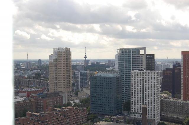 DSC_3447.JPG